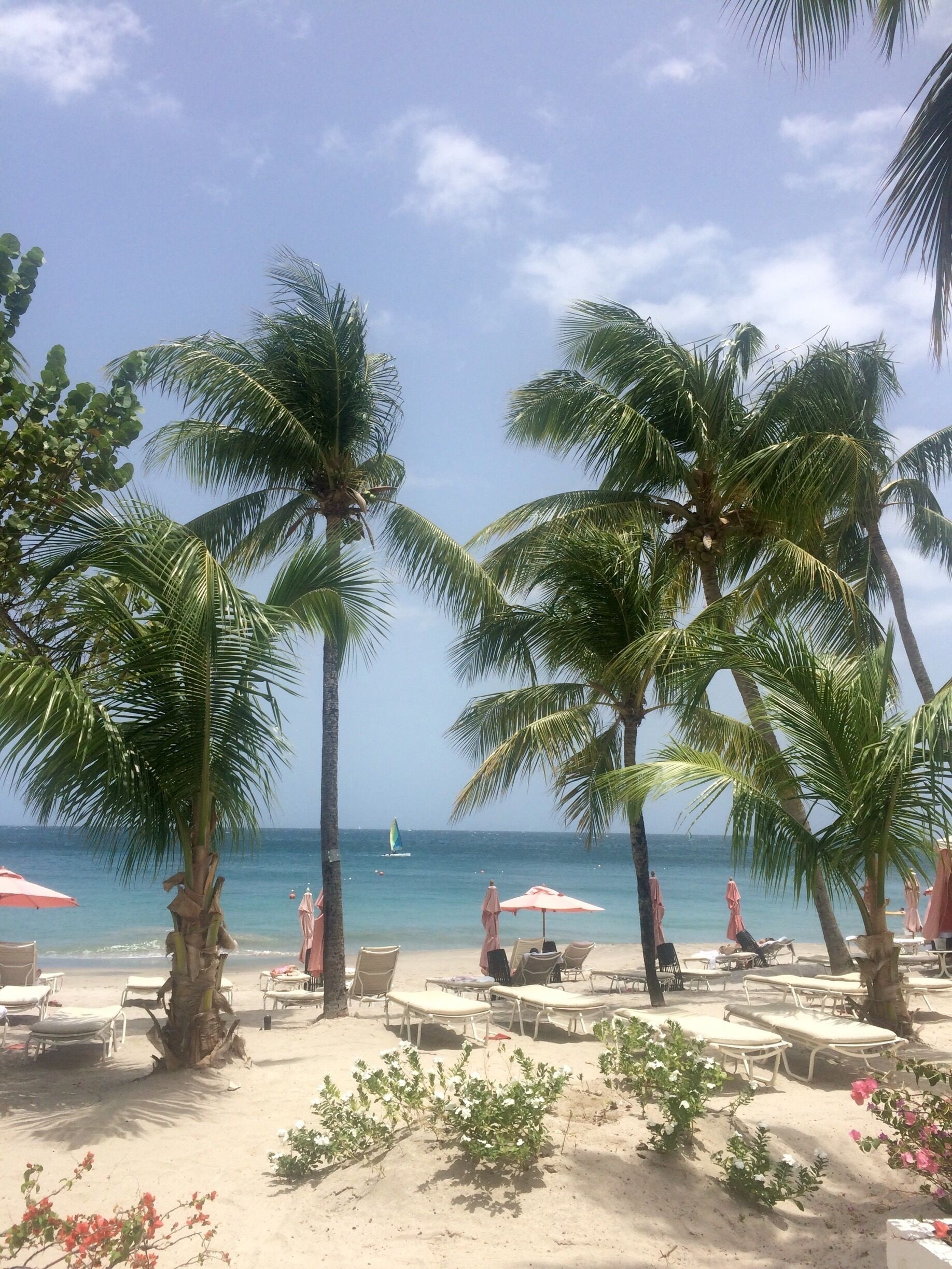 #BeachTips  #BVSBlue