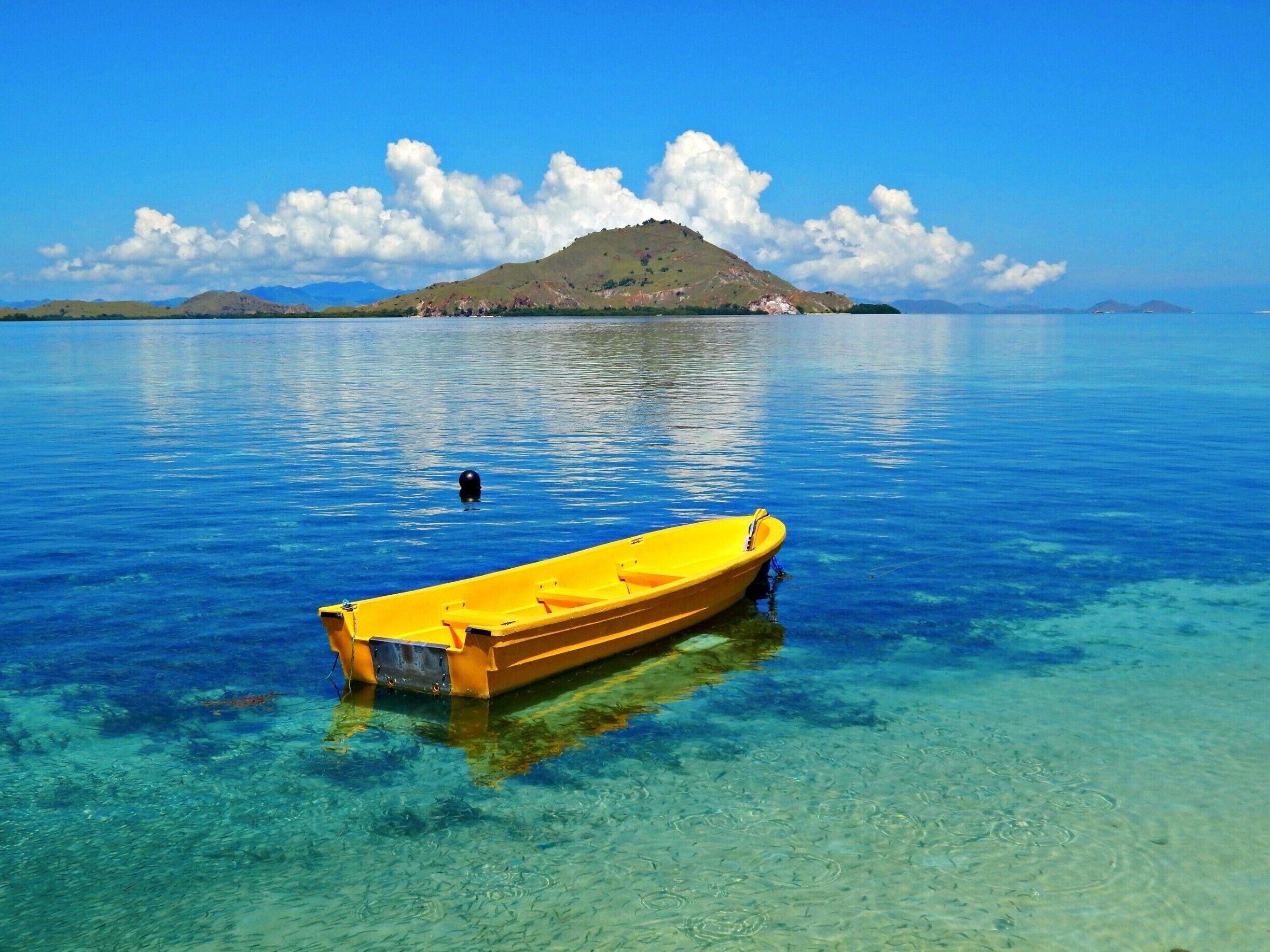 Taken from Kanawa Island, off the coast of Labuan Bajo, Flores, Indonesia. You can hire a boat from the port in Labuan Bajo for a day trip to Kanawa. It is still quiet and secluded, with live coral reefs and lots of fish. Great snorkeling, but fairly shallow. Make sure you don't touch the coral. Also, pack your lunch and own gear because there isn't anything on the island for you to purchase! 
