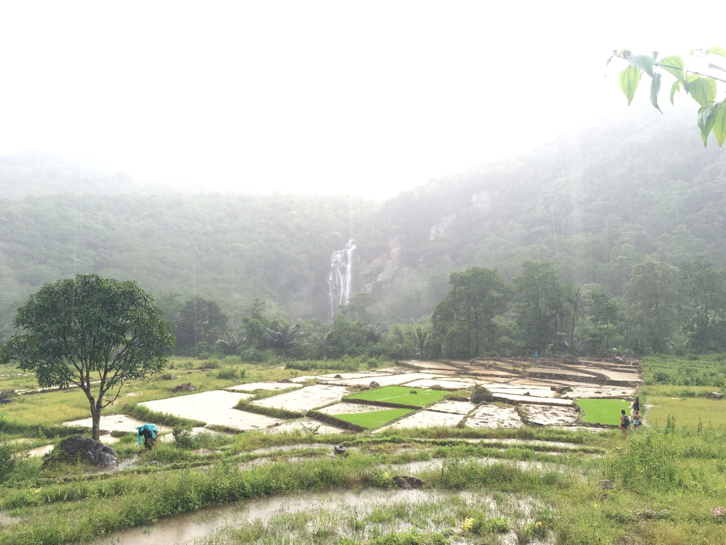 One of the two waterfalls you can visit if you traveling to Labua bajo, Flores. This one is very far from the city and most people don't know or they don't want to take you. It takes about 2 hrs motorbike ride up to mountain and another 45 minutes Down to mountain on a very bad road then 1 hr hike in the wood through rice fields. It is huge you can see the waterfall before you start to hike.  It was poring rain so I don't have many picture of it. It was one of the best place place I ve ever been. #BestOf5