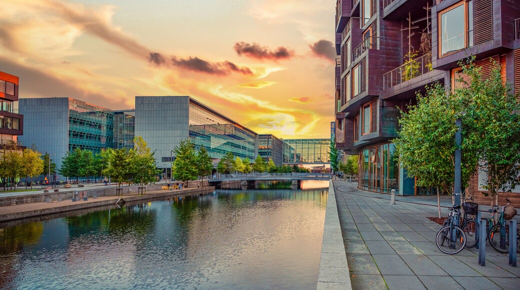 Köbenhamns universitet