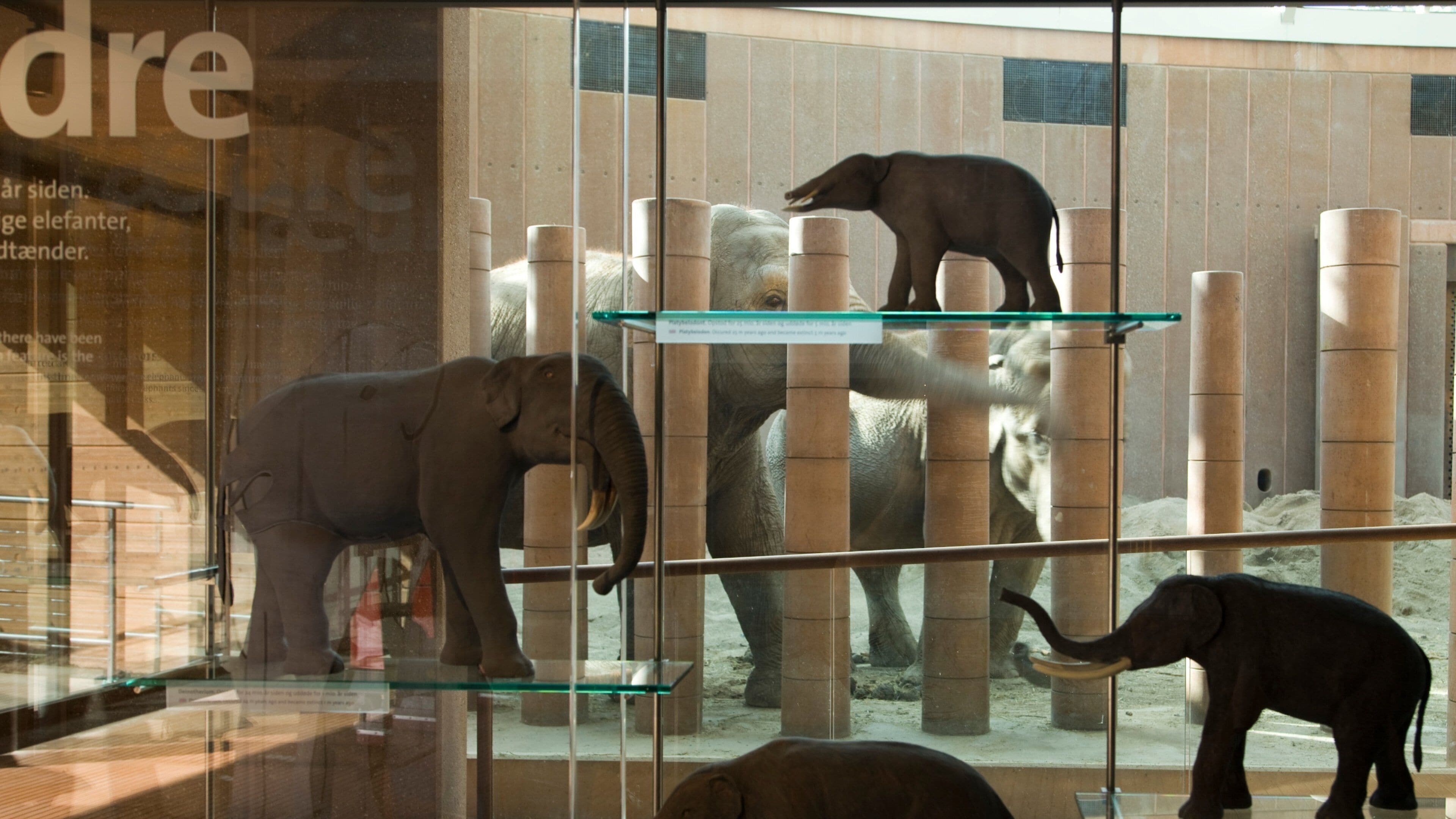 Copenhagen Zoo which includes interior views, land animals and zoo animals