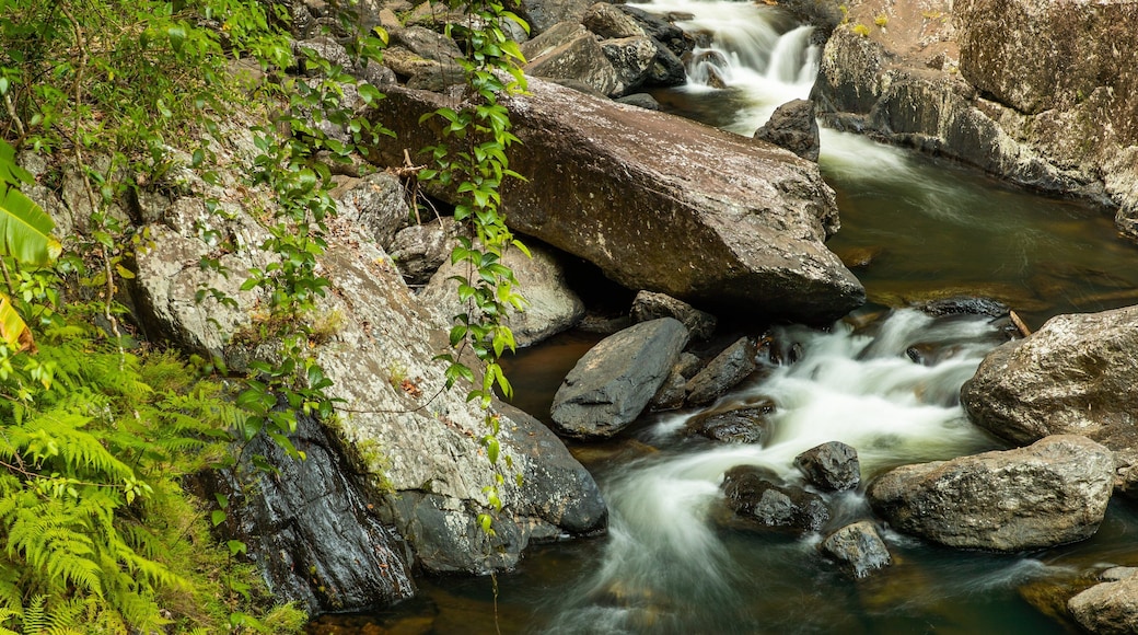 Crystal Cascades featuring a river or creek