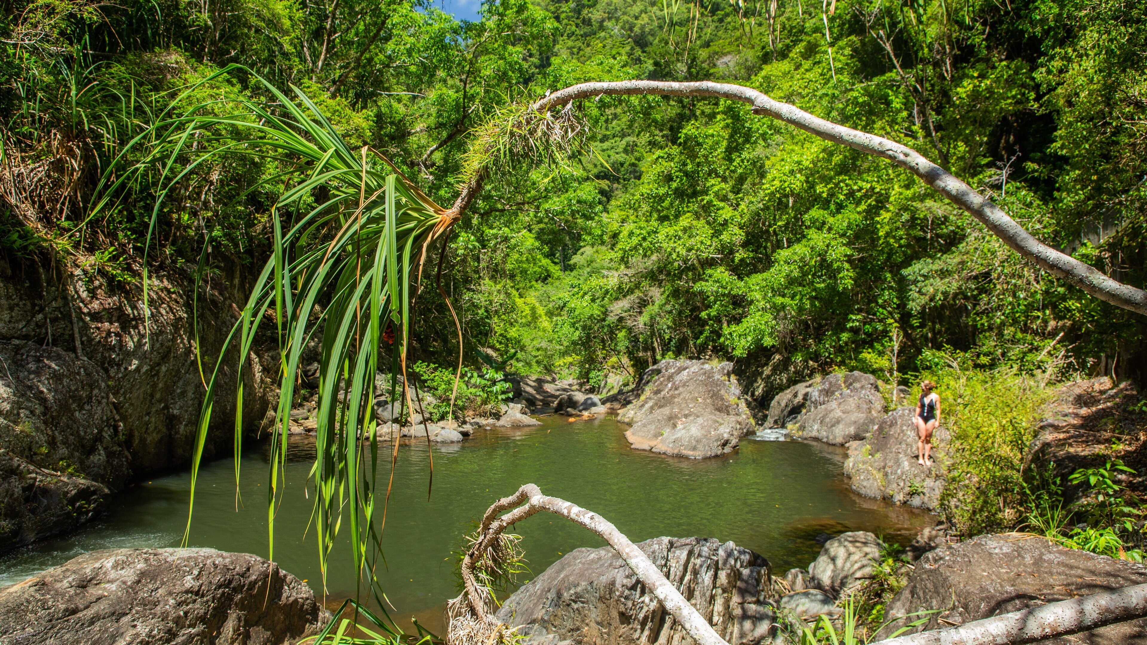Crystal Cascades showing a river or creek