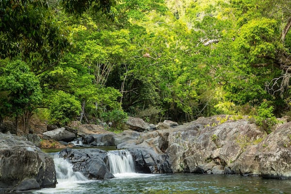 Crystal Cascades which includes a river or creek and forests