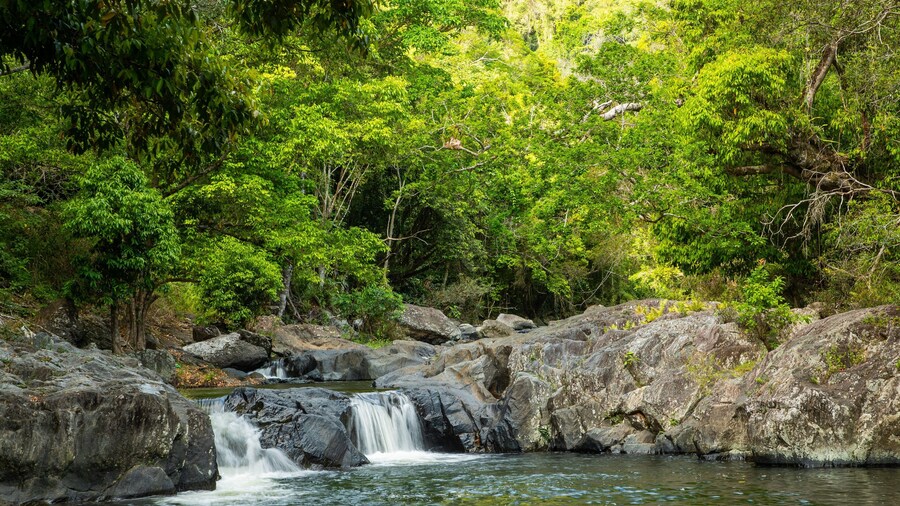 Crystal Cascades which includes a river or creek and forests