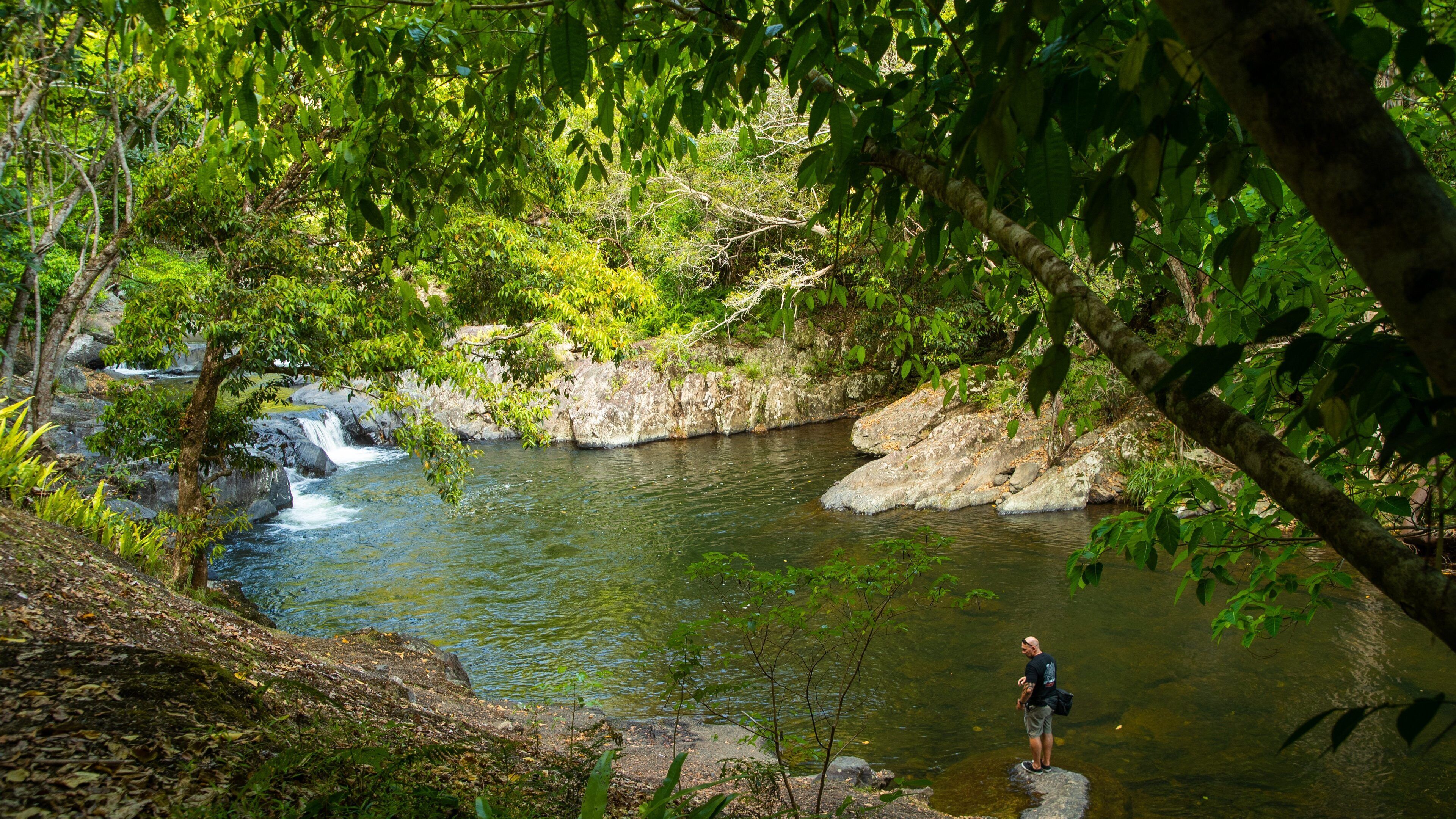 Crystal Cascades featuring a river or creek as well as an individual male