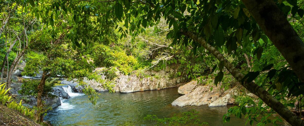 Crystal Cascades featuring a river or creek as well as an individual male