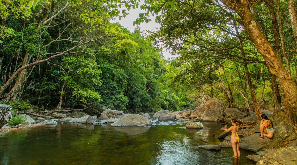 Crystal Cascades which includes forests and a river or creek as well as a couple