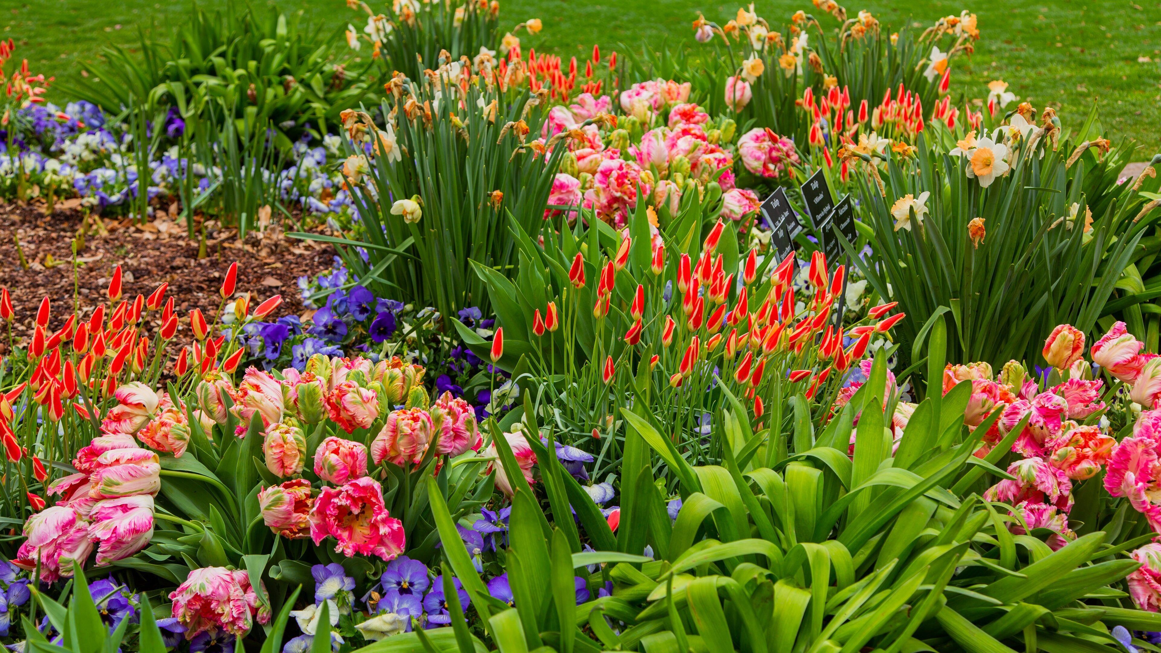 Dallas Arboretum and Botanical Garden