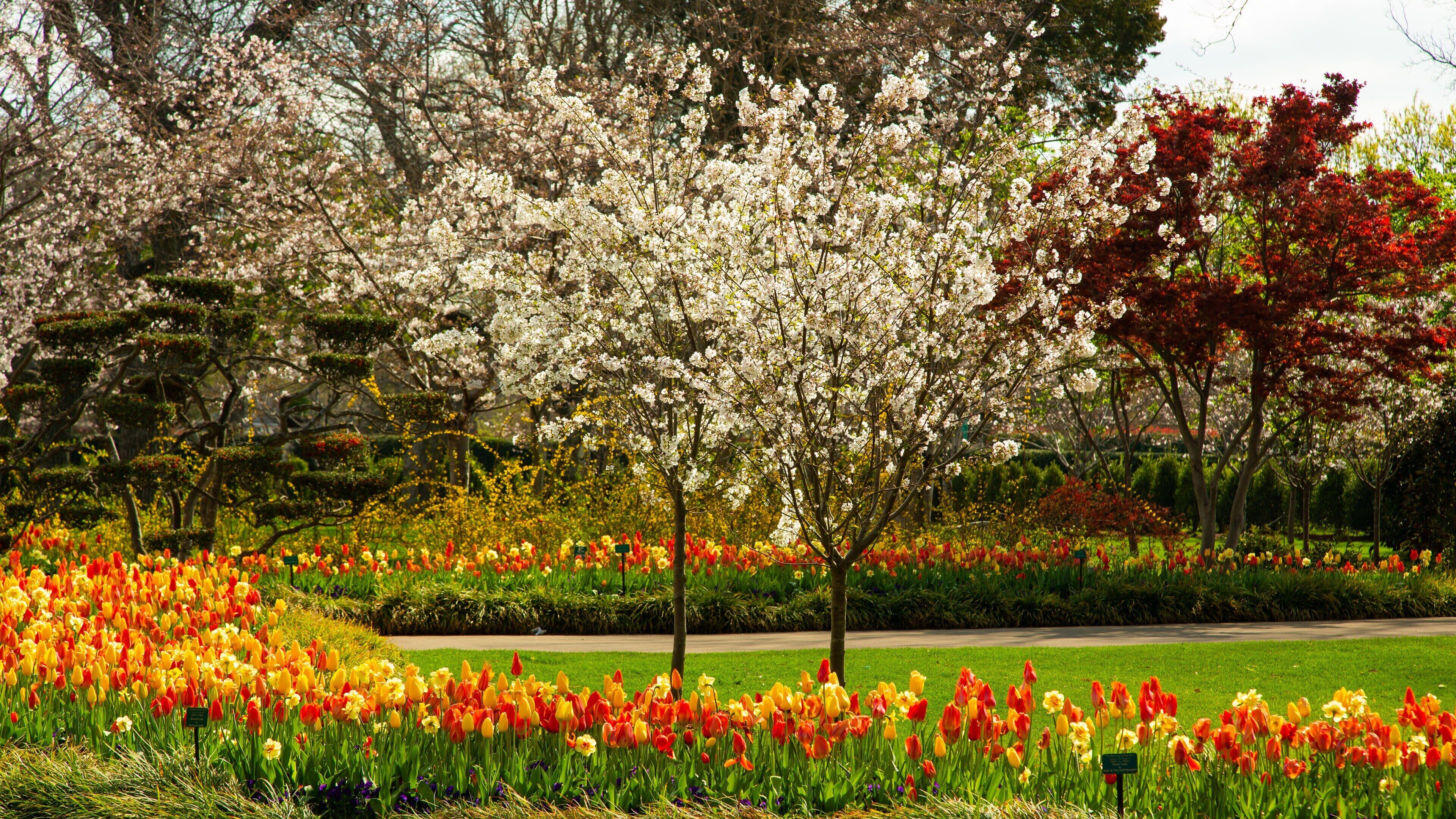 Dallas Arboretum and Botanical Garden