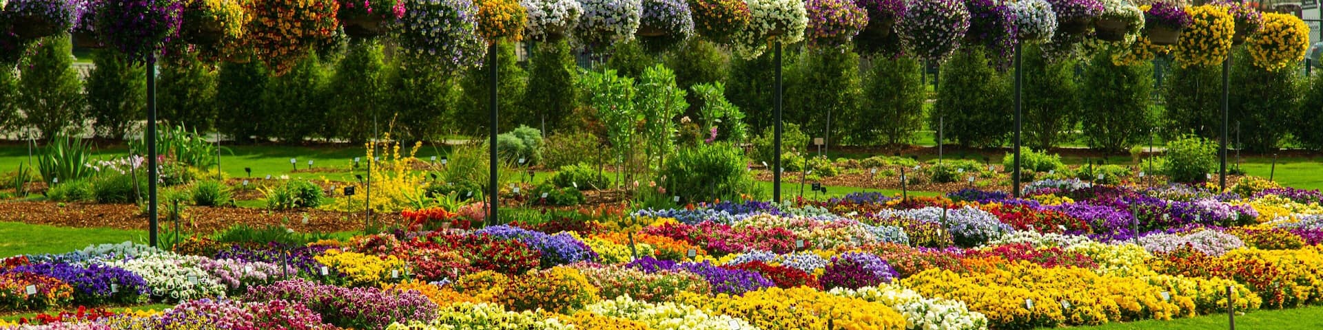 Dallas Arboretum and Botanical Garden