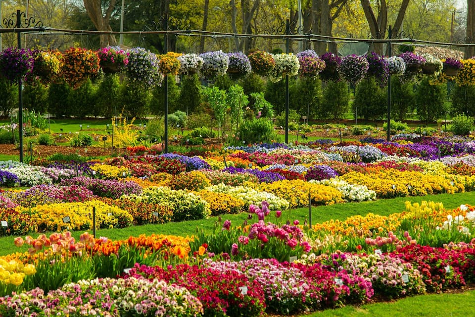 A flower garden with various colorful flowers and a hanging flower display.