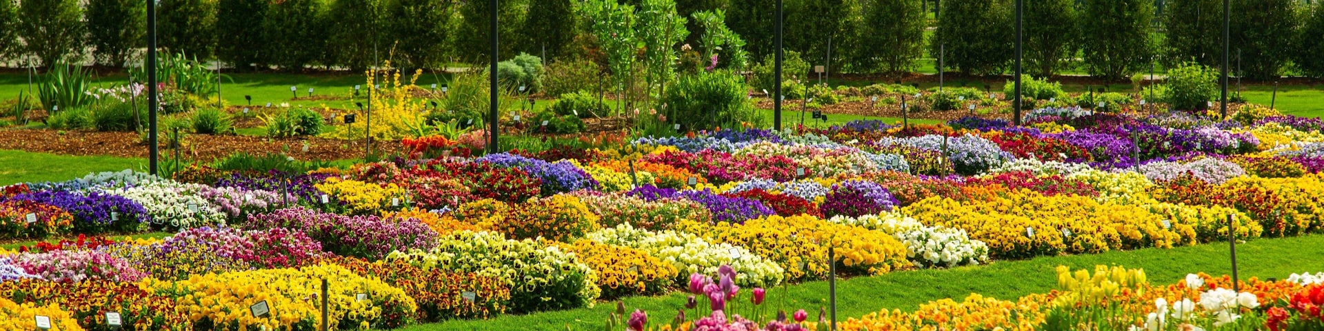 Dallas Arboretum and Botanical Garden