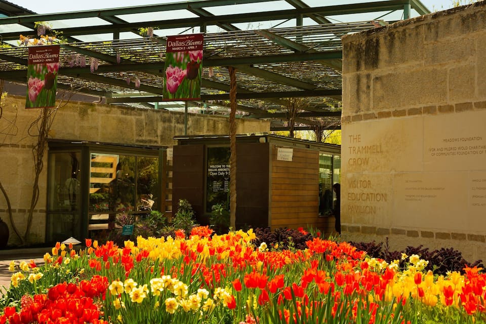 A vibrant flower garden with a variety of tulips and other flowers. There are signs hanging from the pergola indicating the Dallas Blooms event dates.
