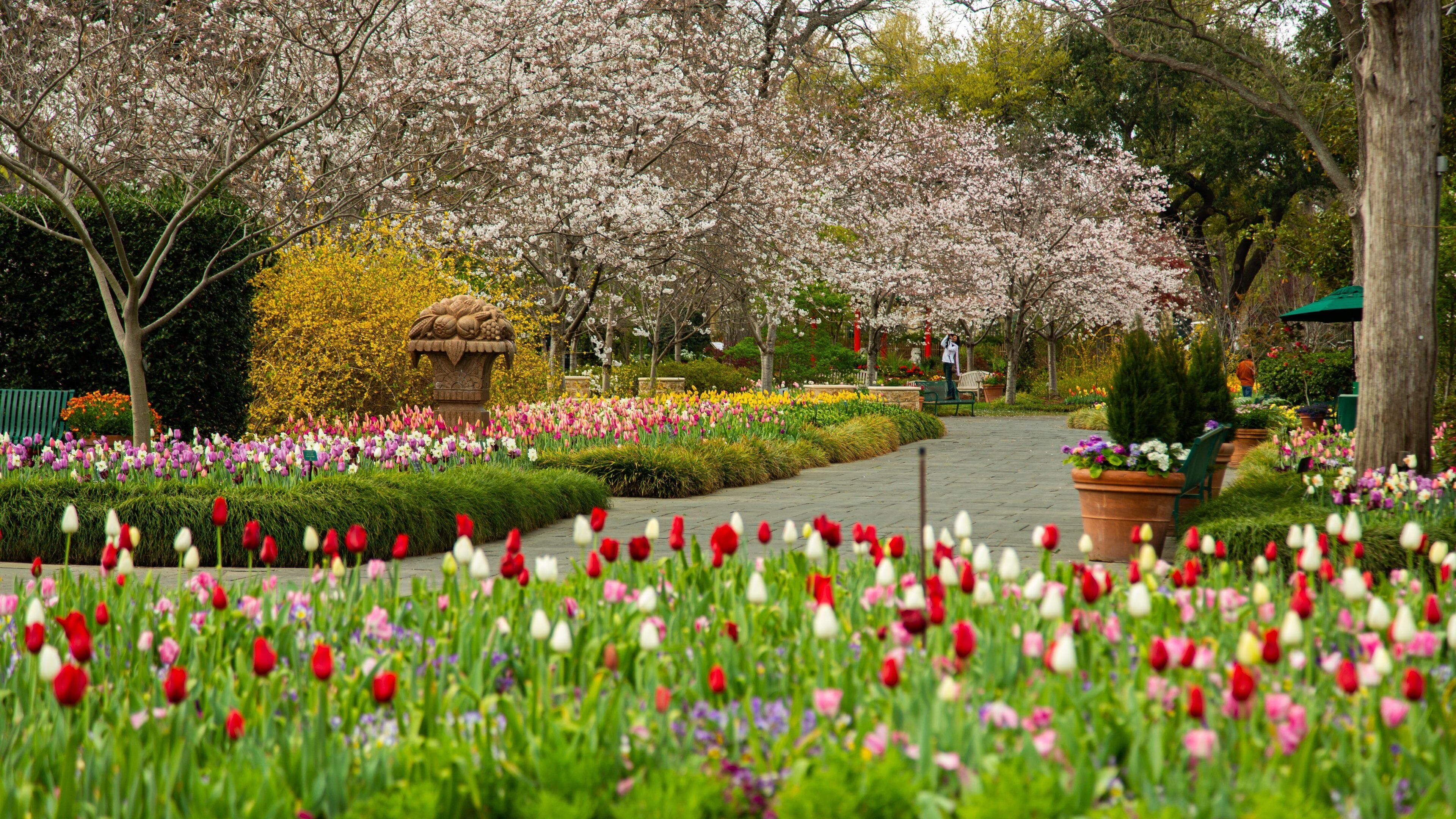 Dallas Arboretum and Botanical Garden