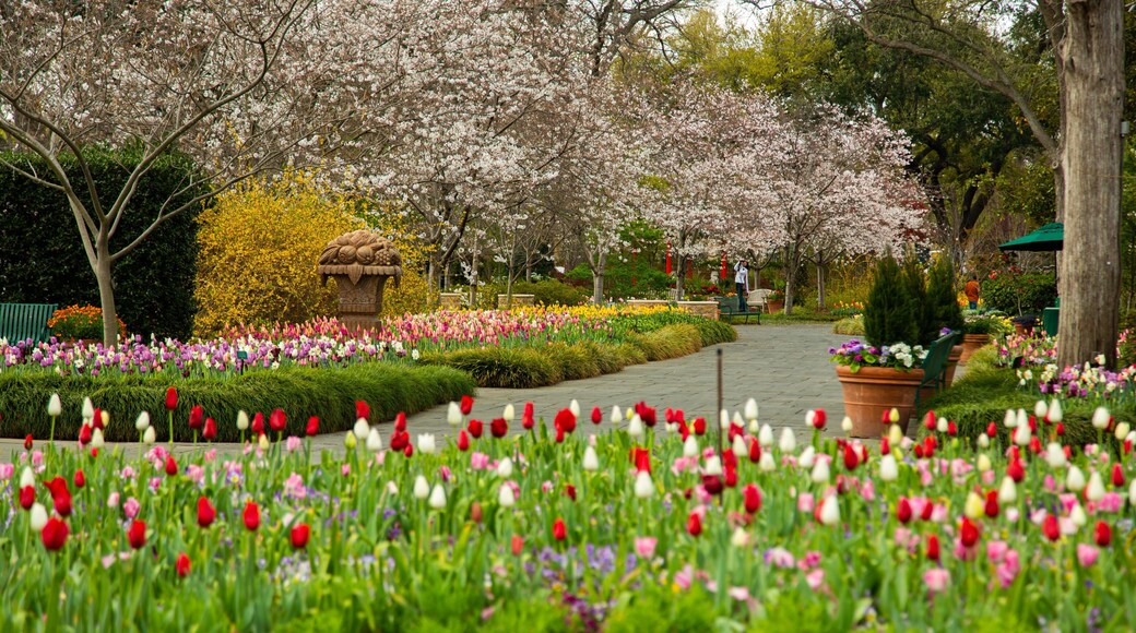 Dallas Arboretum and Botanical Garden