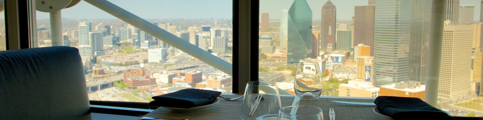 Reunion Tower showing modern architecture, a city and interior views
