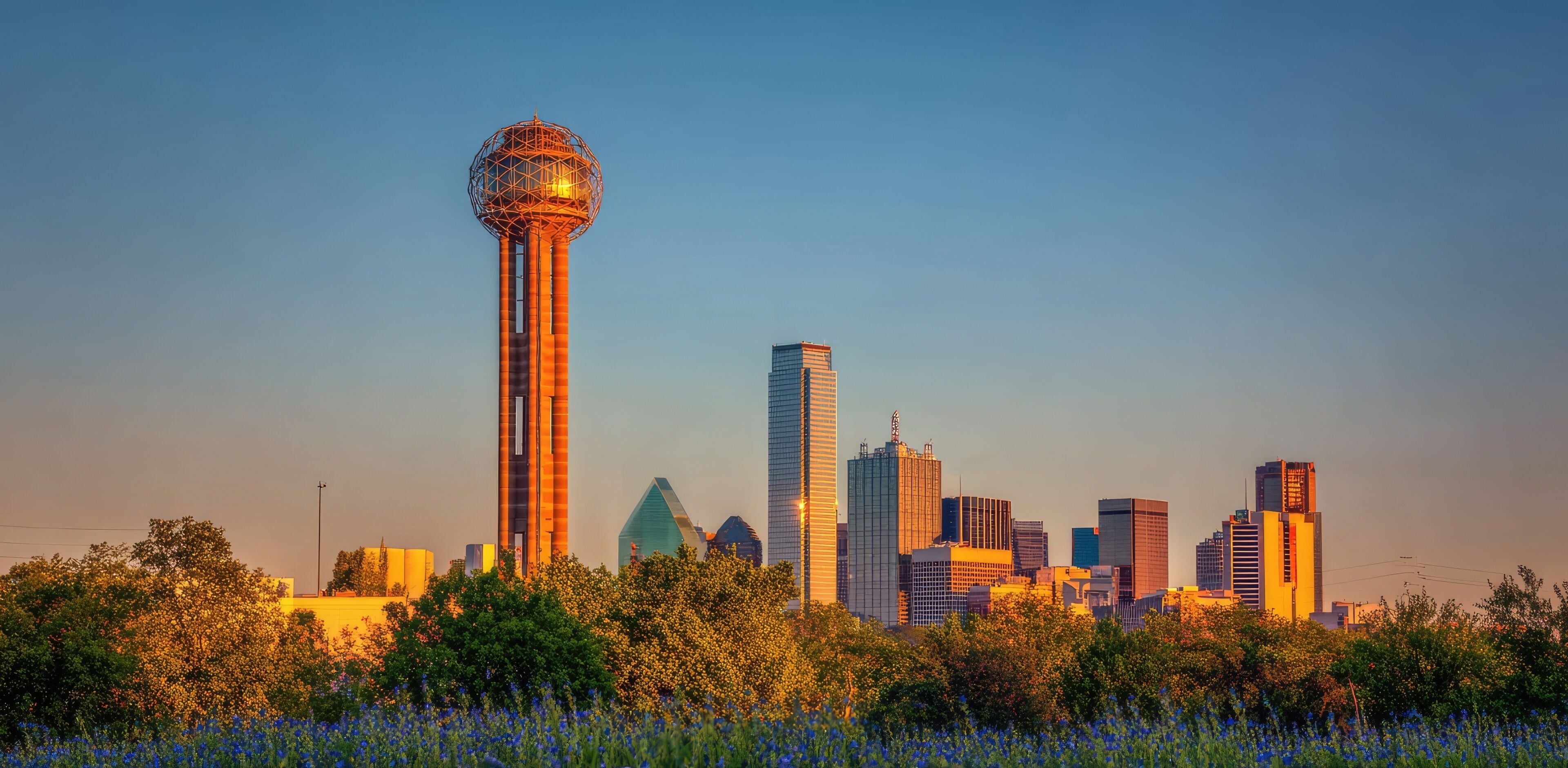 Contea di Dallas