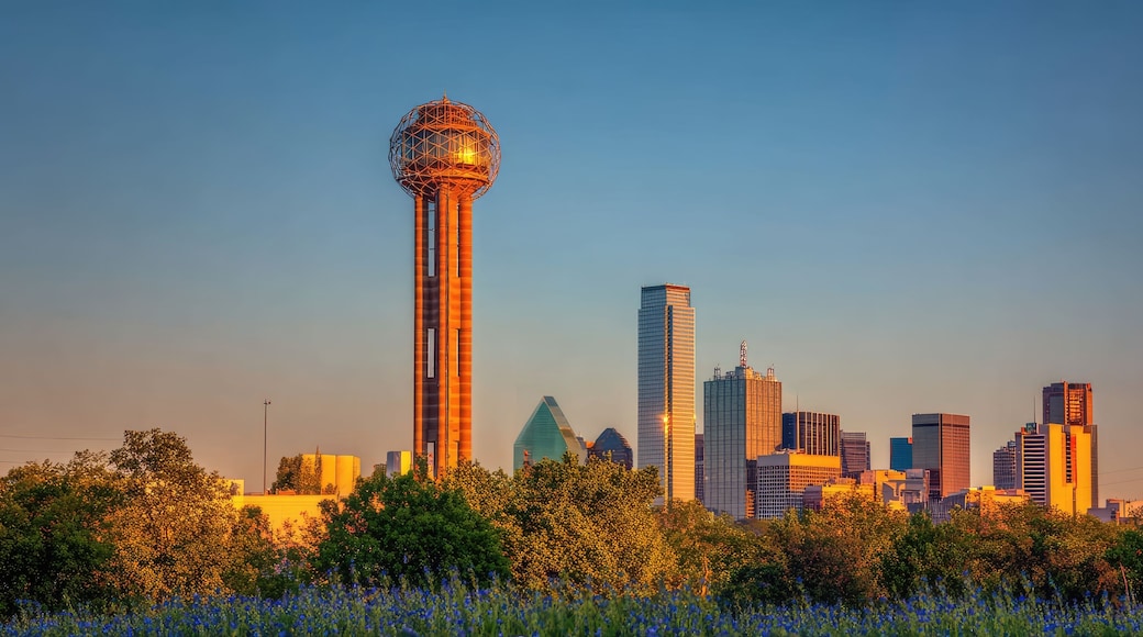 Contea di Dallas