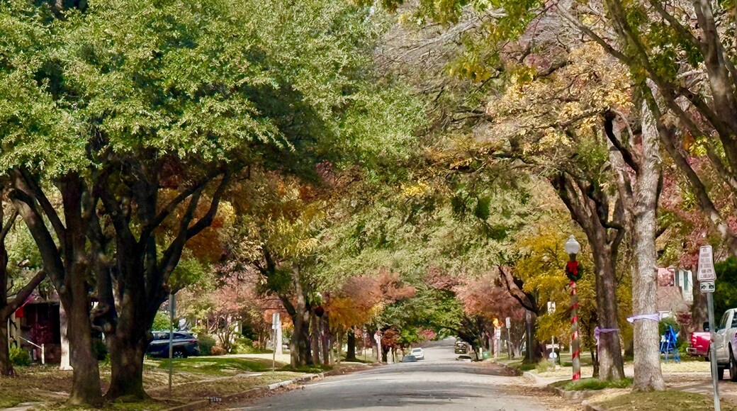 Texas Christian University