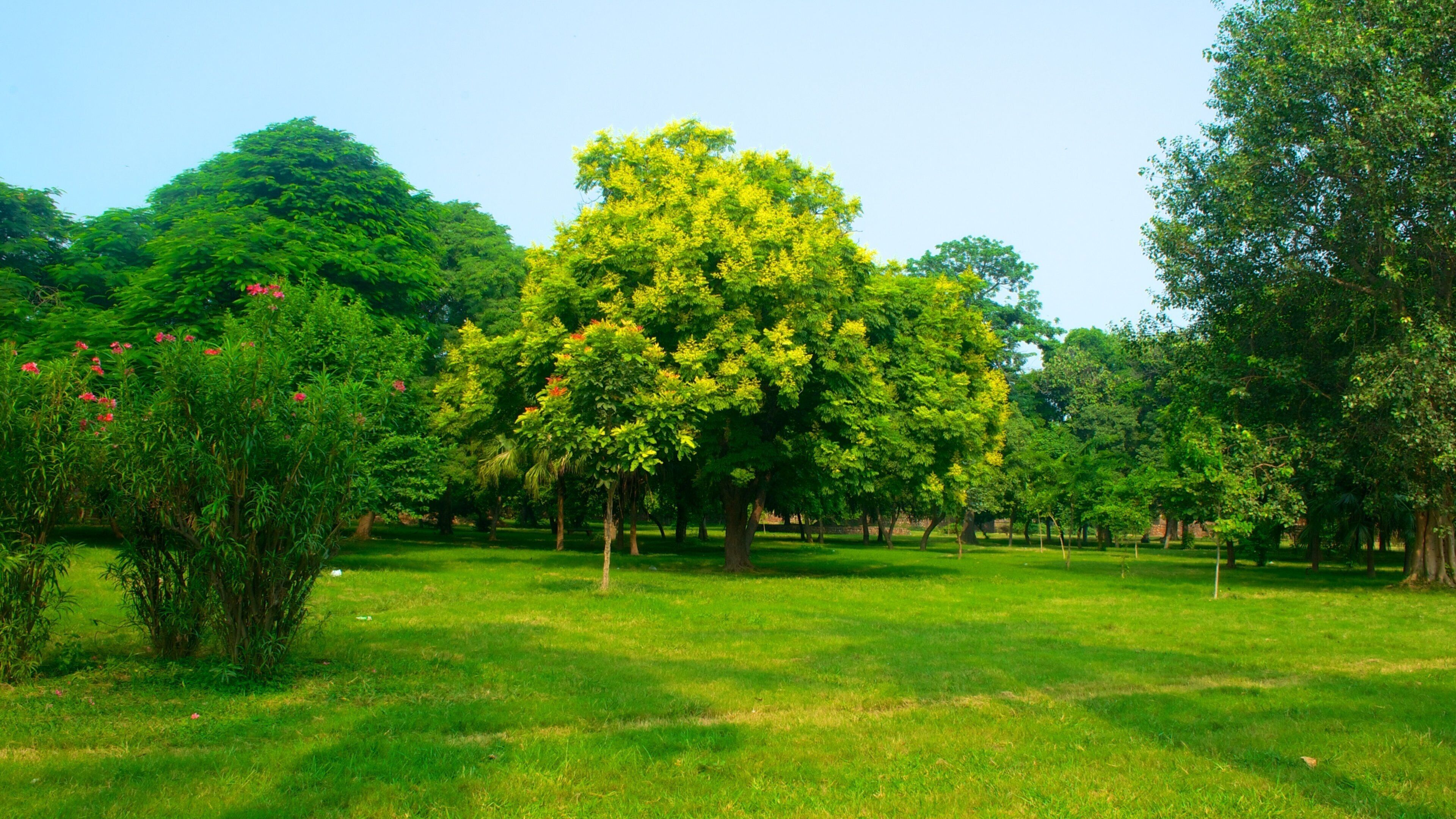Tumba de Humayun ofreciendo un jardín