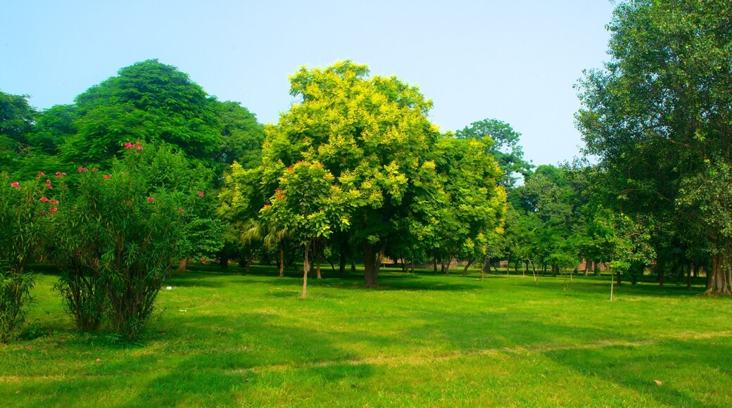 Tumba de Humayun ofreciendo un jardín
