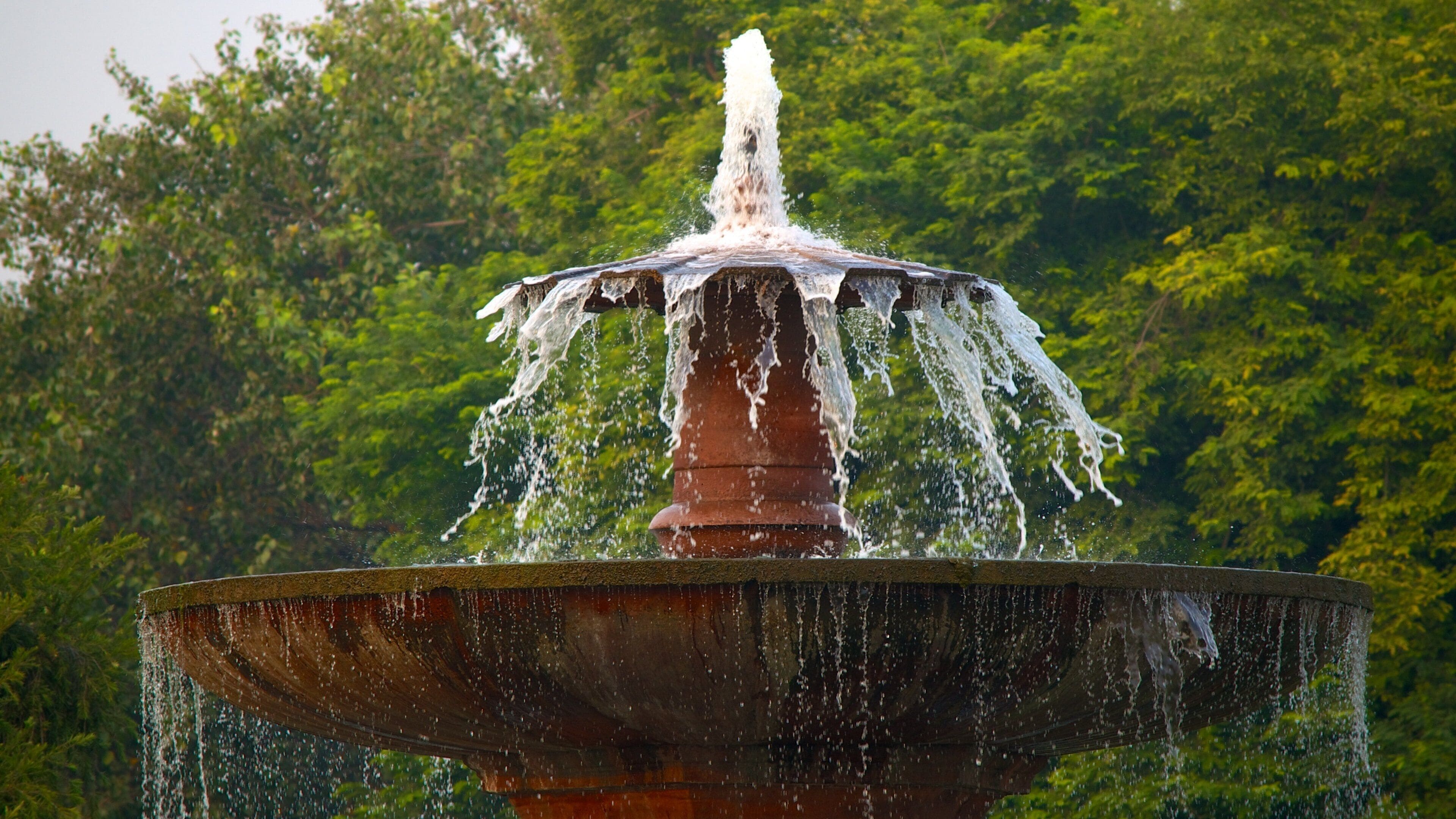 인디아 게이트 이 포함 정원 과 분수