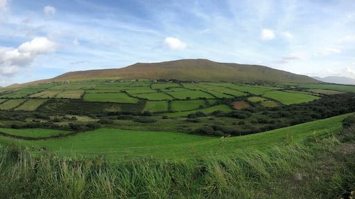 #nofilter on the way to Dingle, Ireland #adventure photo contest #adventurephotocontest