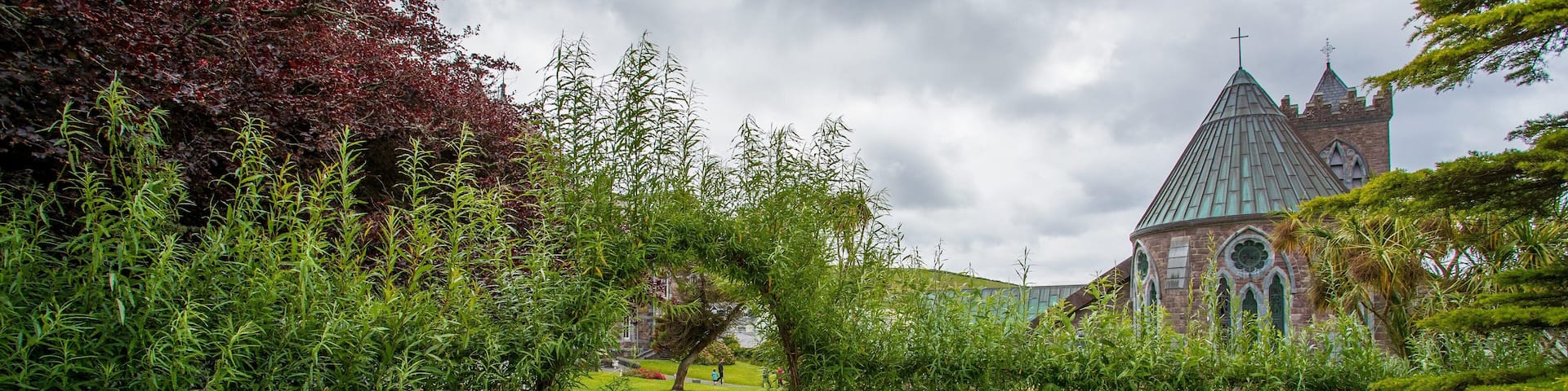 Dingle which includes wildflowers and a garden
