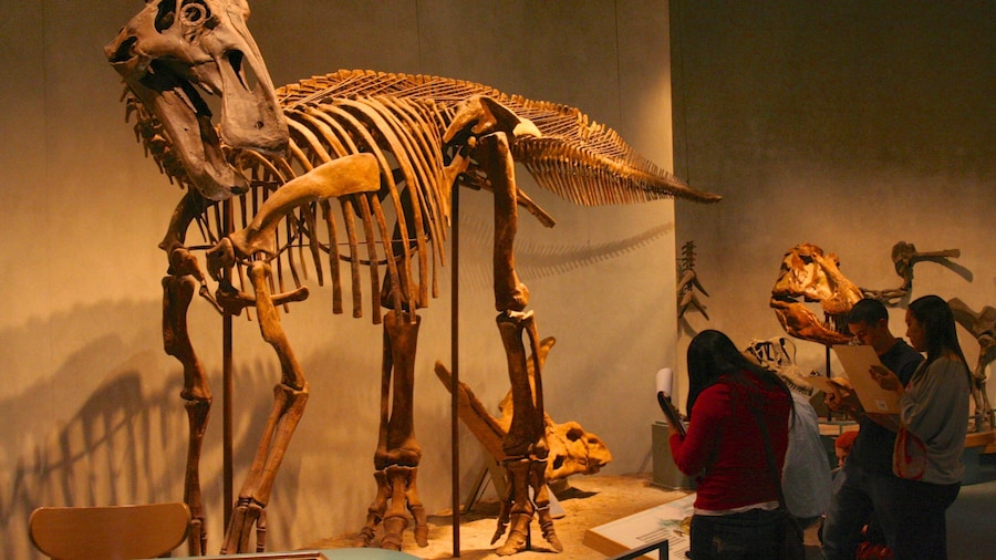 Visitors exploring dinosaur skeleton exhibits at Denver Museum of Nature and Science in Colorado