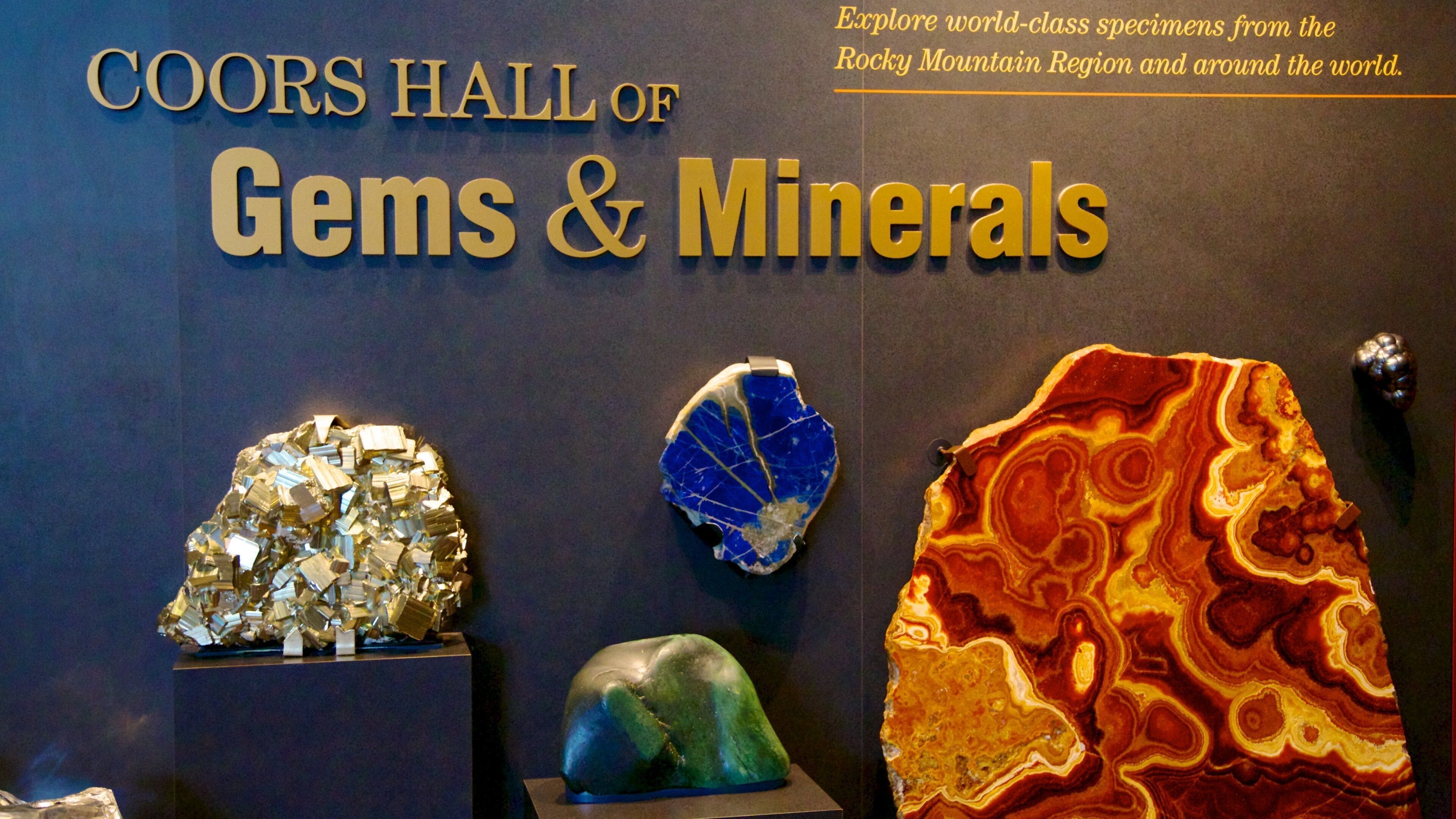 Denver Museum of Nature and Science montrant signalisation et vues intérieures