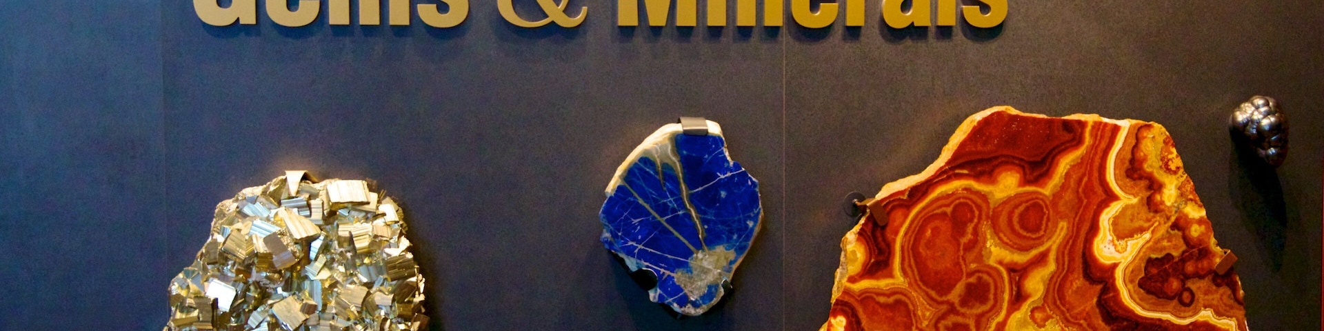 Denver Museum of Nature and Science mit einem Innenansichten und Beschilderung