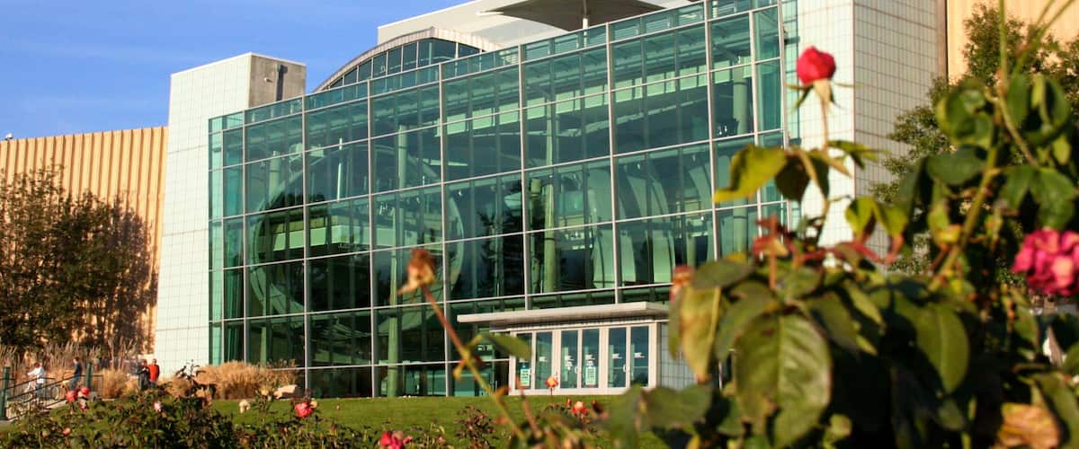 Museo de la Naturaleza y las Ciencias de Denver que incluye flores y una ciudad