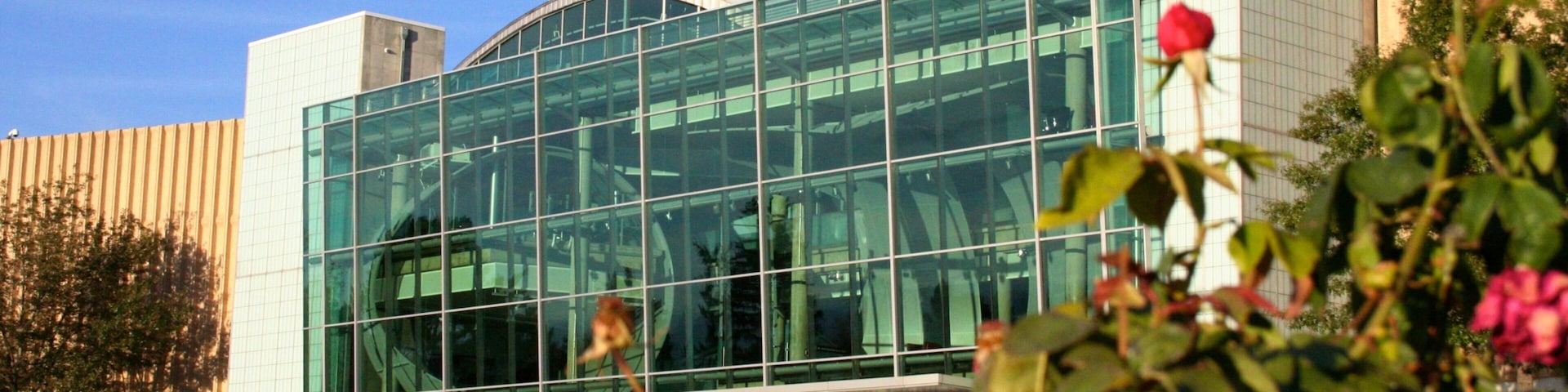 Denver Museum of Nature and Science que inclui flores e uma cidade