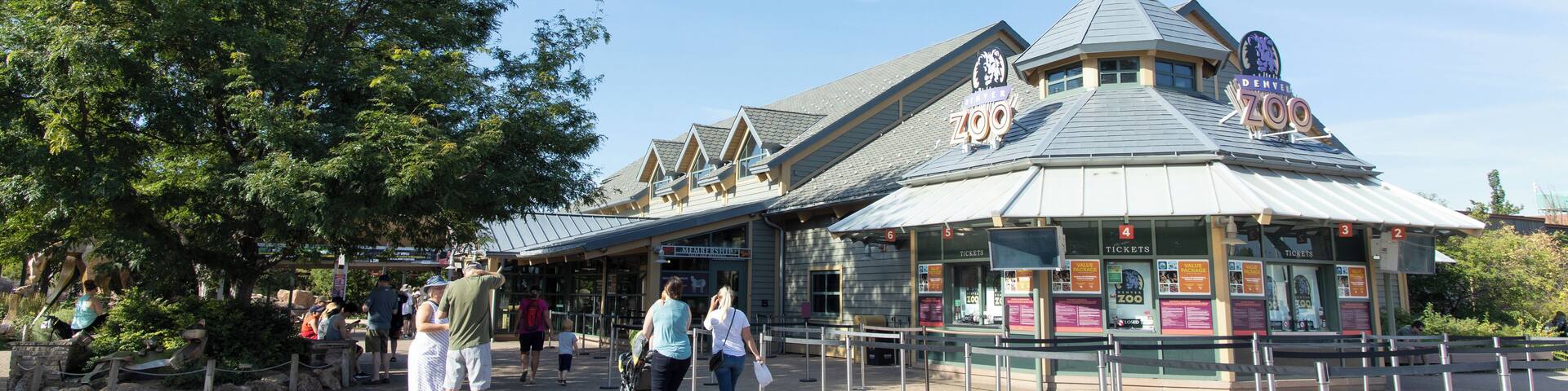 EyeEm Custom Shoots Q4 2018