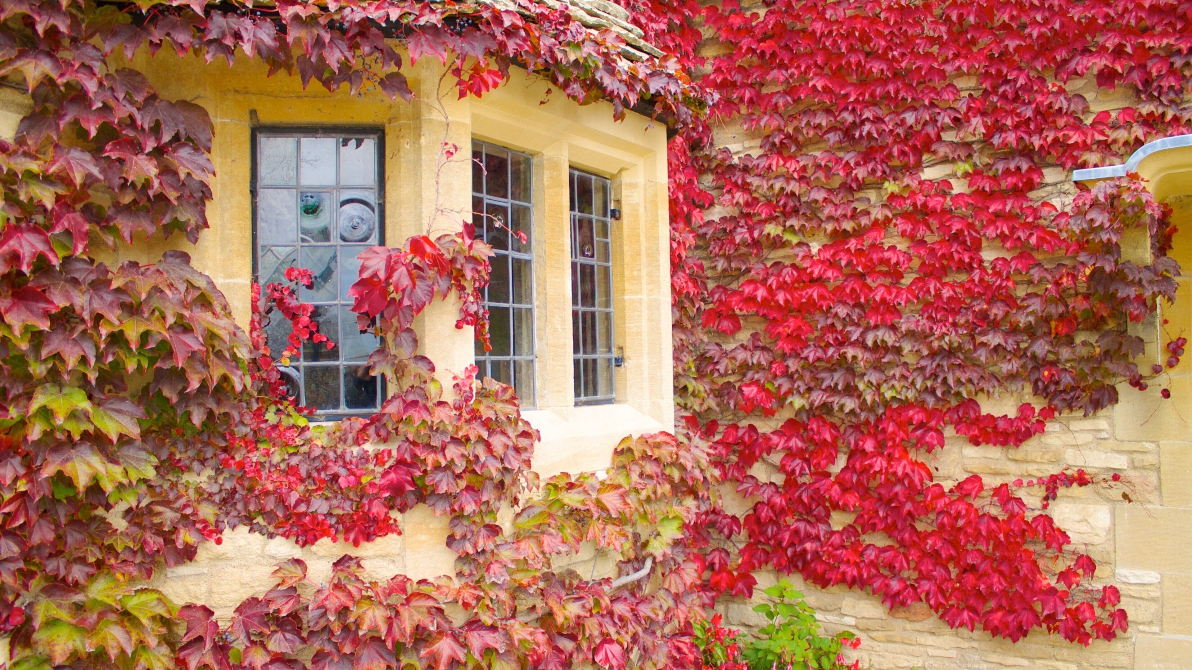Greenfield Village which includes a house and fall colors
