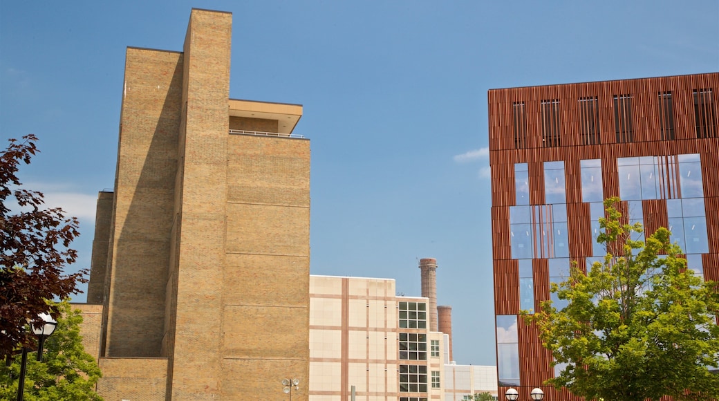 Universität Michigan