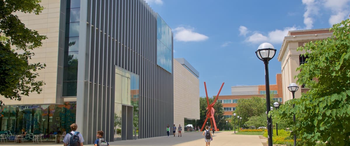 University of Michigan mostrando arte al aire libre y escenas urbanas y también una pareja