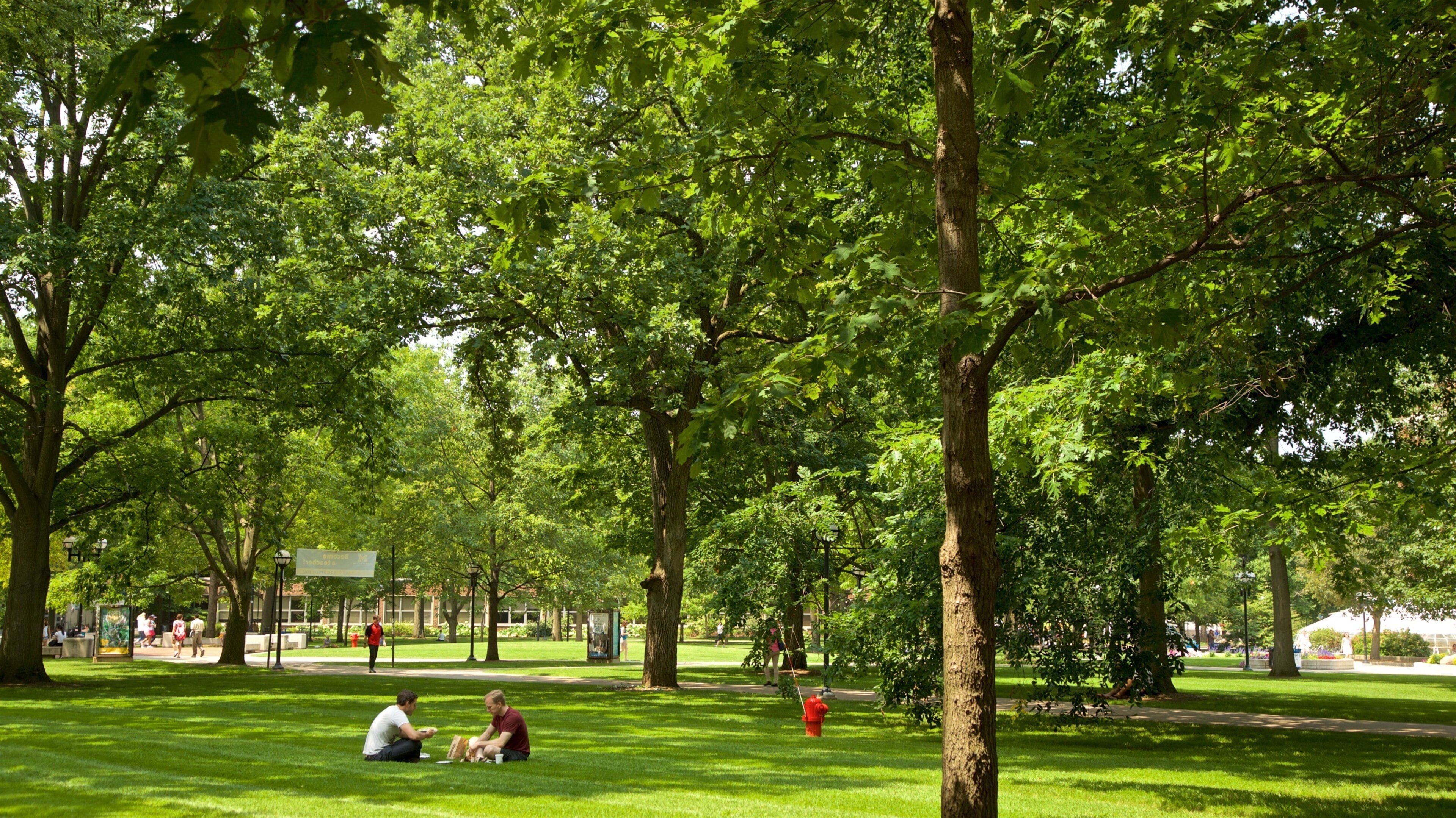 University of Michigan showing a park as well as a couple