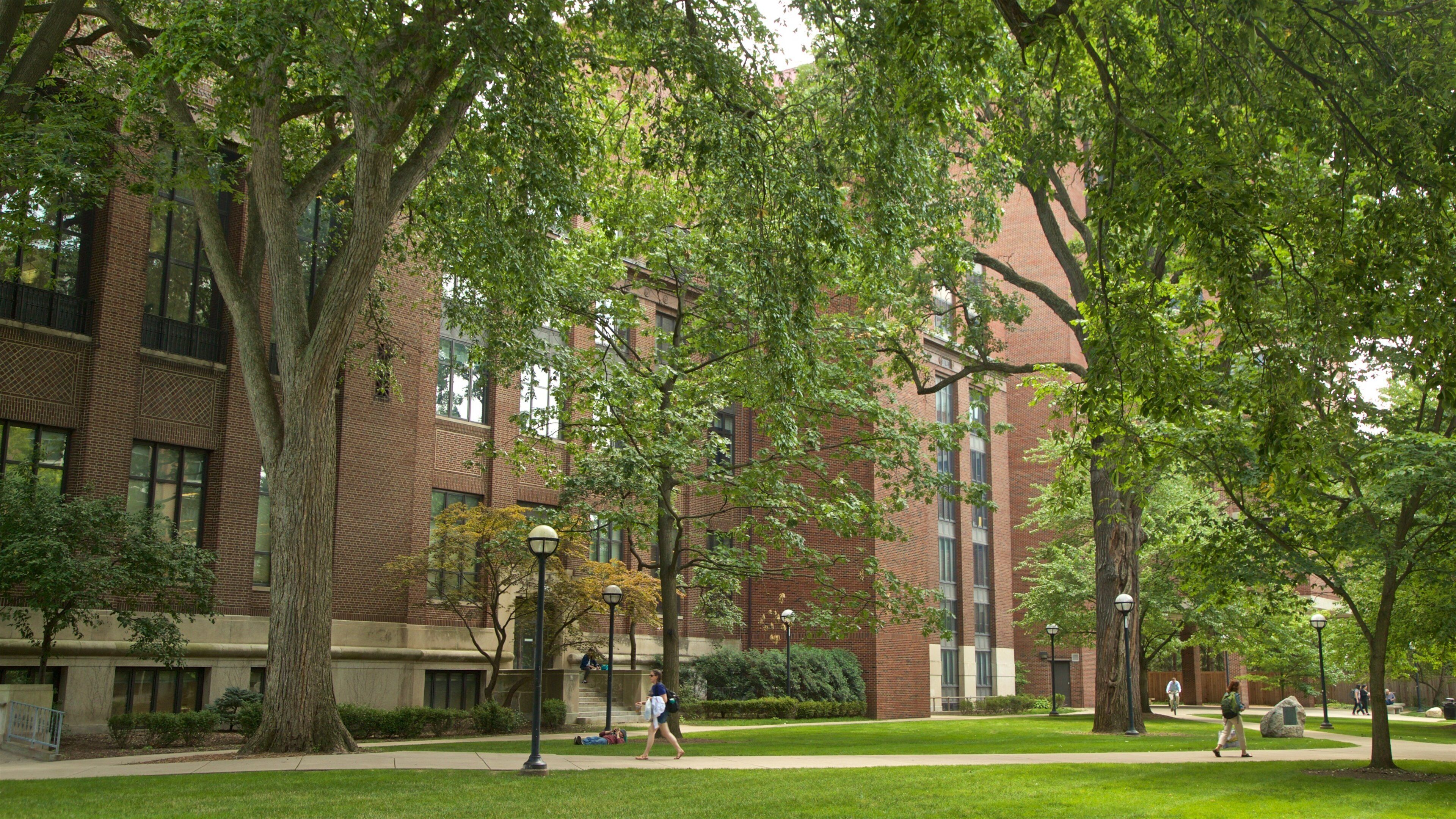 University of Michigan mostrando un parque