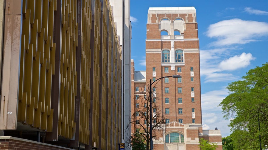 University of Michigan which includes heritage elements and a city