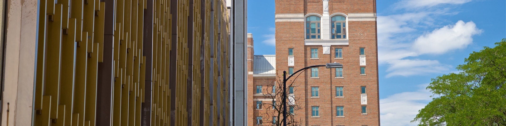 University of Michigan que incluye una ciudad y elementos del patrimonio