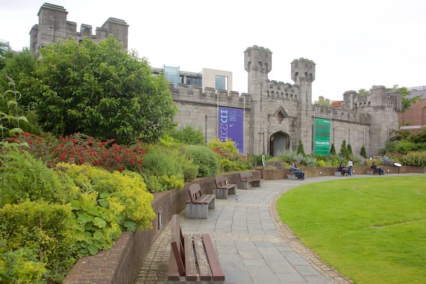 Dublin Castle mit einem Geschichtliches, historische Architektur und Palast oder Schloss