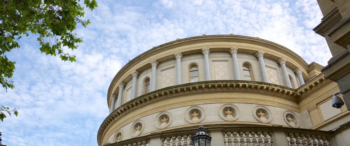 アイルランド国立博物館 - 考古学 & 歴史 フィーチャー 行政建造物, 遺跡 と 遺跡・遺産