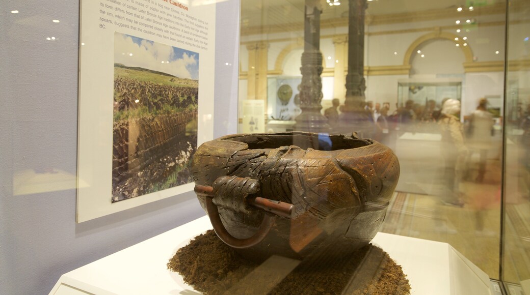 National Museum of Ireland - Archaeology and History featuring heritage elements