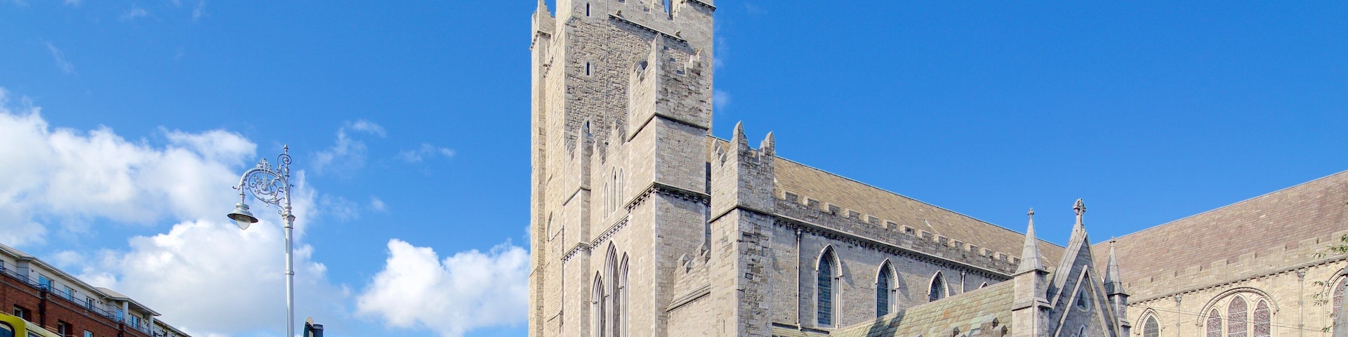 Catedral de San Patricio mostrando aspectos religiosos, elementos patrimoniales y arquitectura patrimonial