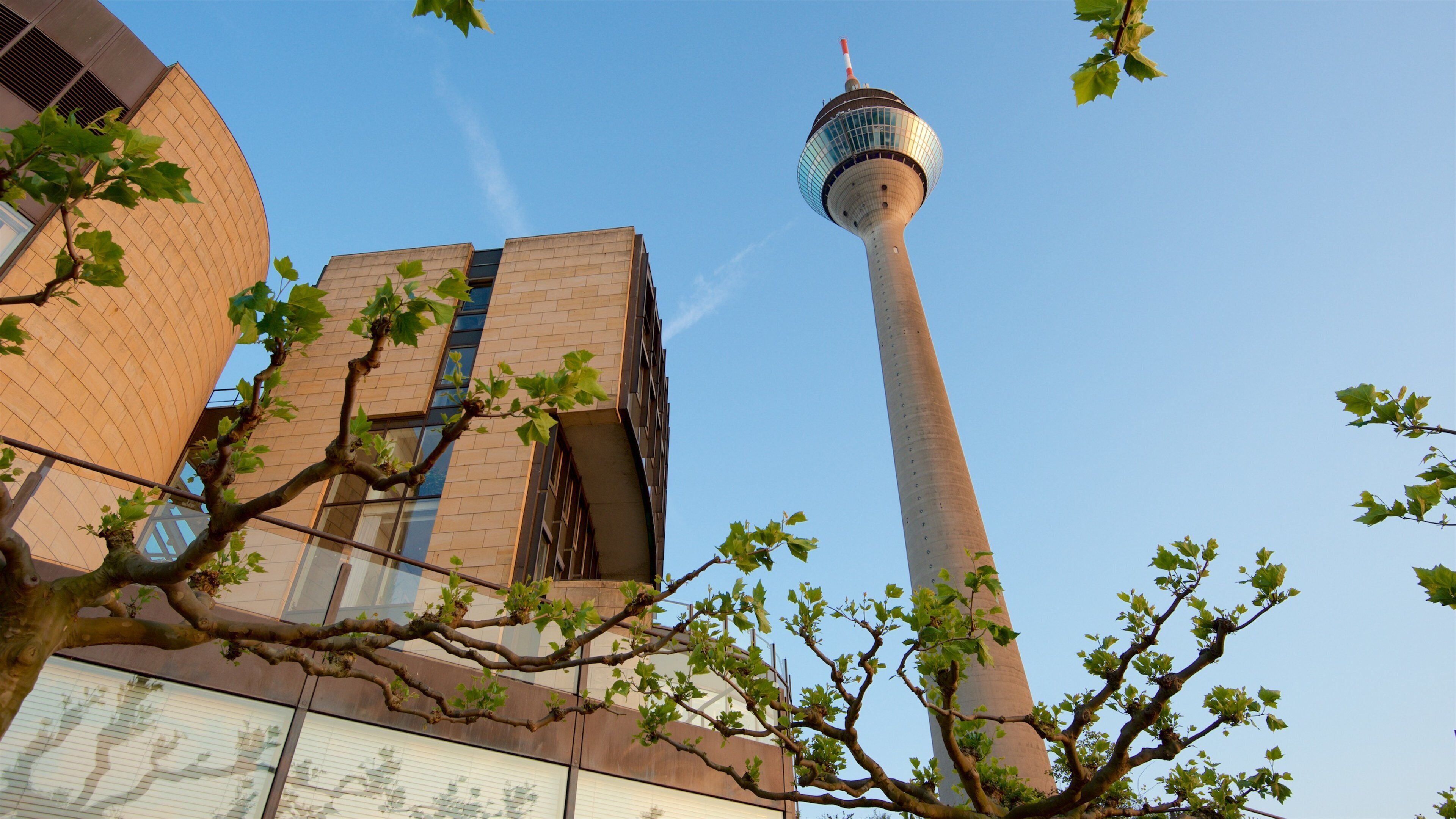 Rhine Tower which includes heritage elements