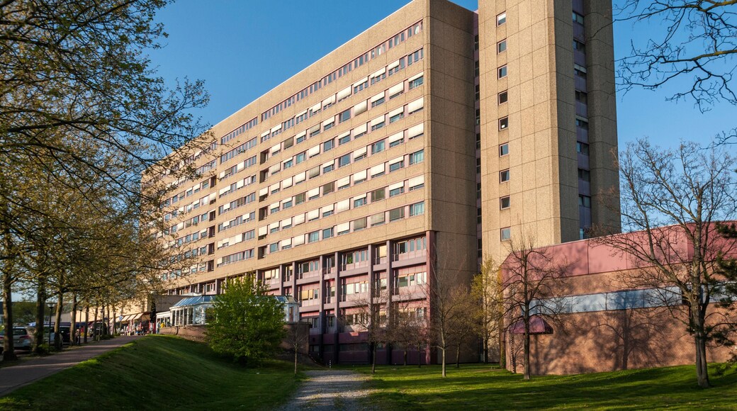 デュッセルドルフ大学