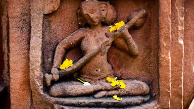 Sculpure of a goddess carved on the Mukteshwar Temple in Bhubaneshwar,