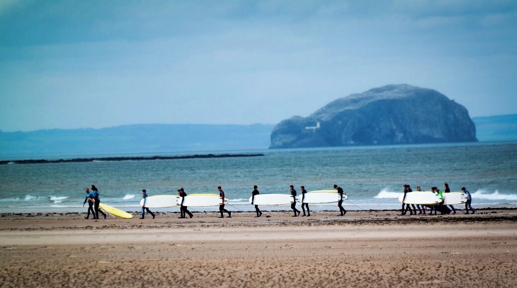 The Bass Rock, seen here from Belhaven Bay. This island is a volcanic remnant and as such is comprised chiefly of basalt. it lies 3 miles off the coast from North Berwick. Unlike many small islands of it's size it has a colourful history of royal visits, political prisoners and literary mentions, most notably in R L Stevenson's 'Catriona.'
It is currently home to the worlds largest colony of Northern Gannets and is a nature reserve managed by the Scottish Seabird Centre.
